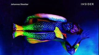 These amazing animals are really people covered in body paint.