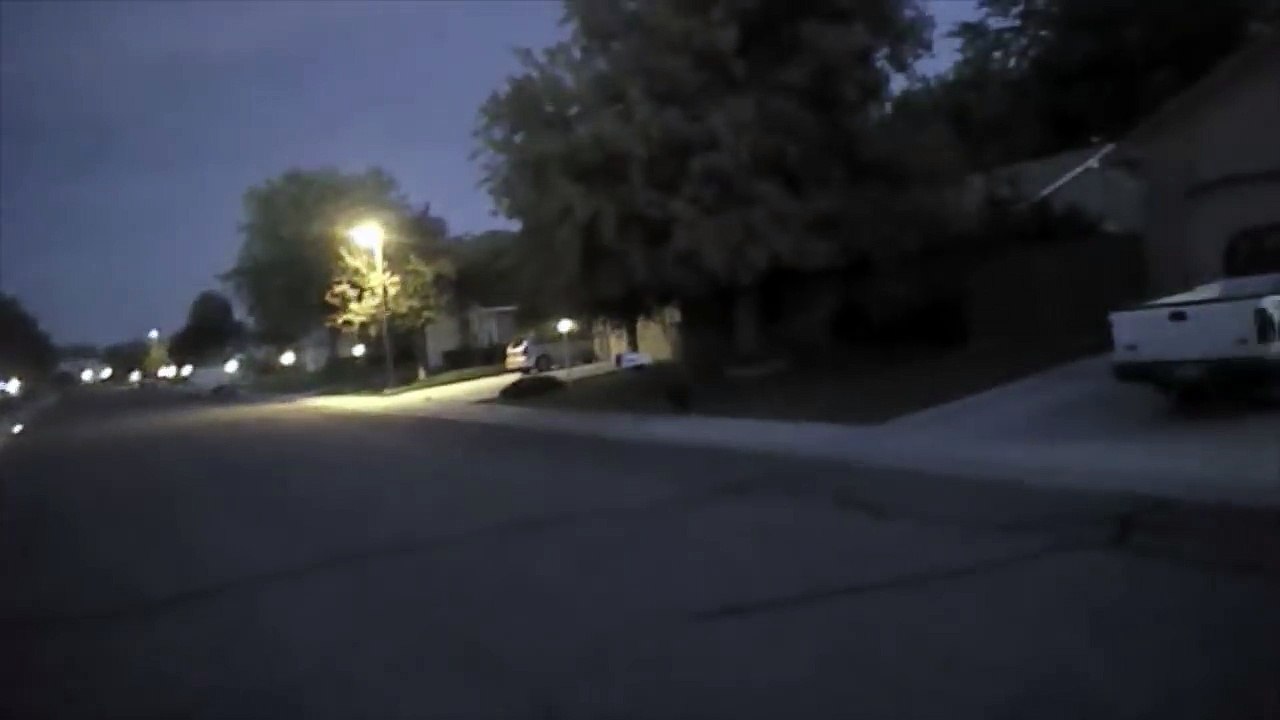 2 chiens chargent un policier dans un quartier résidentiel de nuit