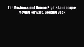 Download The Business and Human Rights Landscape: Moving Forward Looking Back  Read Online