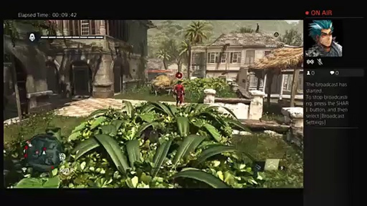 Robert plays Assassin's Creed® IV Black Flag (11)