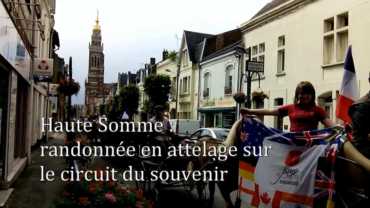 Haute Somme : randonnée en attelage sur le circuit du souvenir