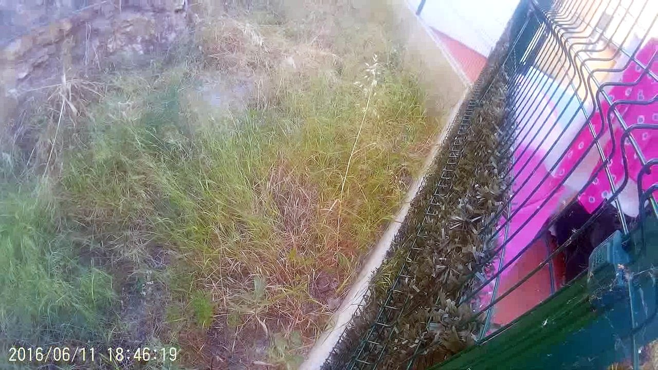 11062016 desprezo, desleixo, incúria da C.M.L.!