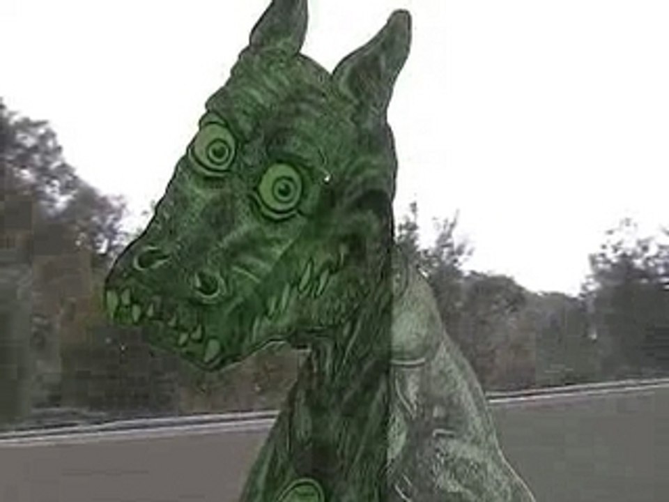 Dragon Illusion