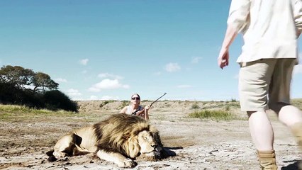 Lion takes its revenge on trophy hunter but viewers are skeptical