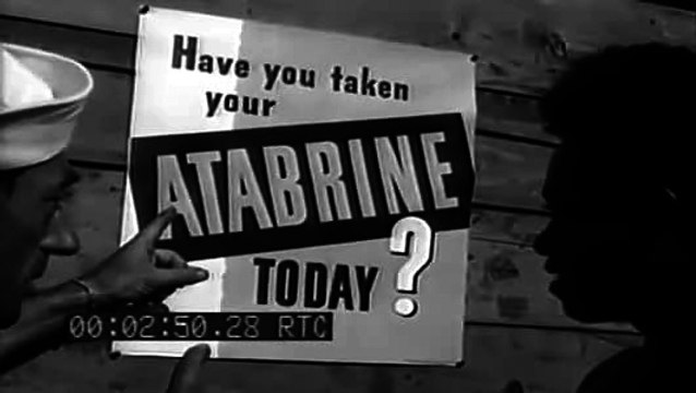 Malaria And Mosquito Control Activities, Munda, New Georgia Island