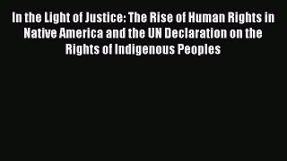 Read Book In the Light of Justice: The Rise of Human Rights in Native America and the UN Declaration