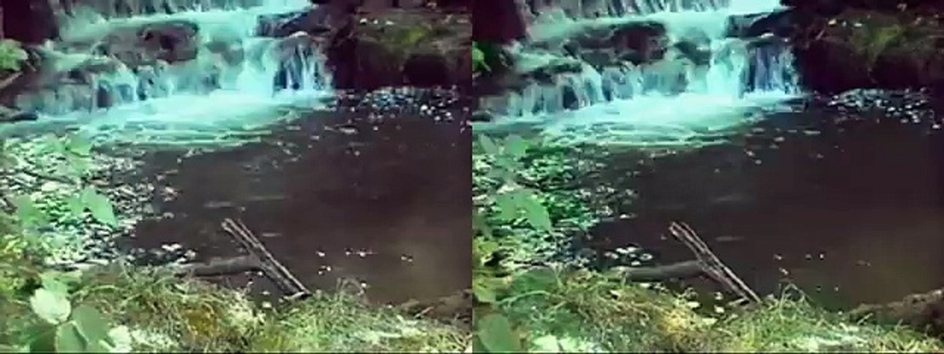 3D Doğa İzle
