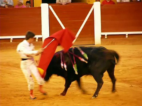 Novillada celebrada el 24-06-10 en la feria Real de Algeciras. Vídeos de Juan León Espinosa