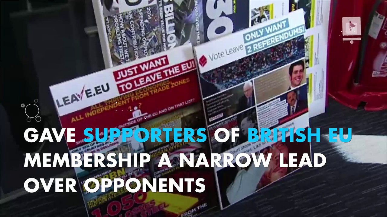 Poll shows Britons back EU membership