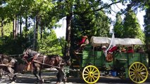 Wagon Train 2016 Pony  Express Trail Pollock Pines Ca.