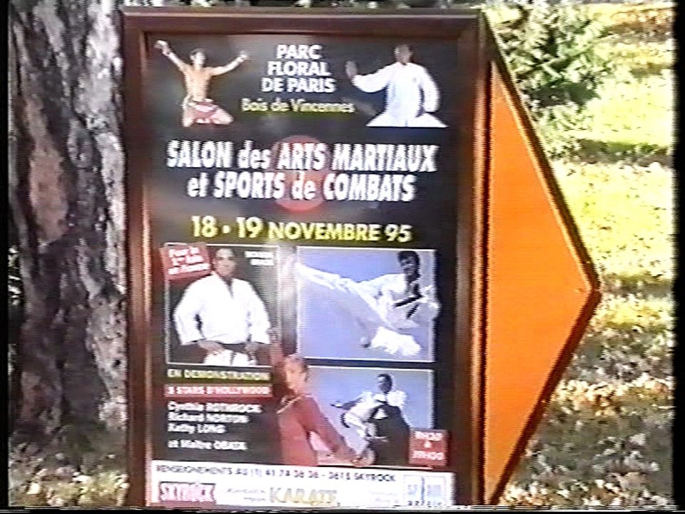 Démonstration de kungfu taichi au Salon des arts martiaux paris 1995