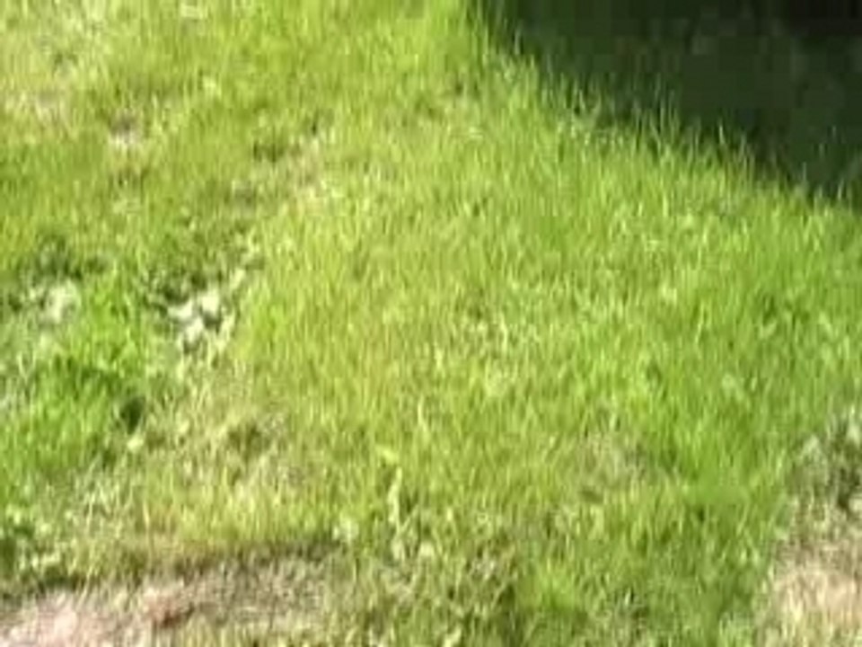 Destruction derbi_SM