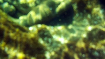 una Caletta dal Fascino unico,  di Pantelleria