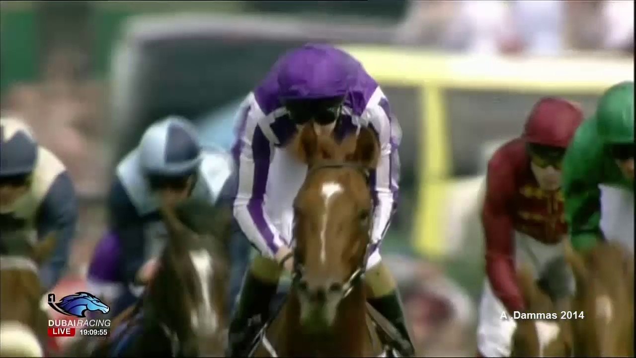 Australia - 2014  Investec Derby