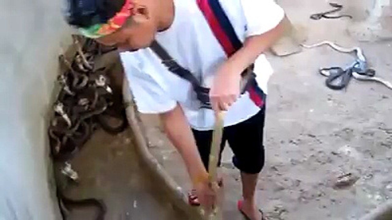 funny videos snacks