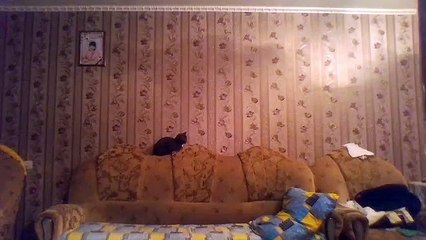 Webcam video from October 15, 2015 01:29 PM (UTC)