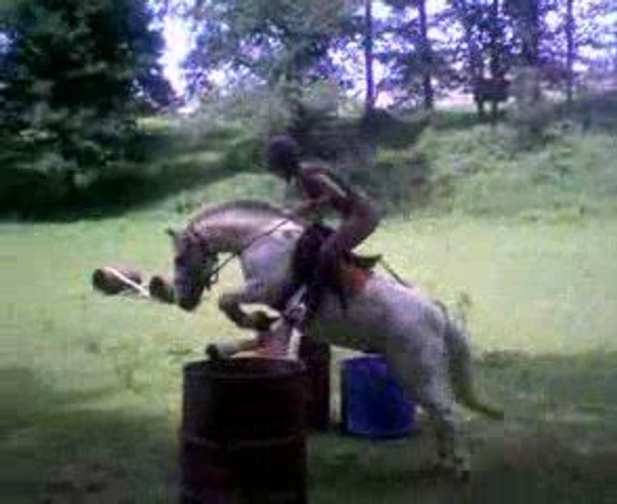 Prince 1er saut