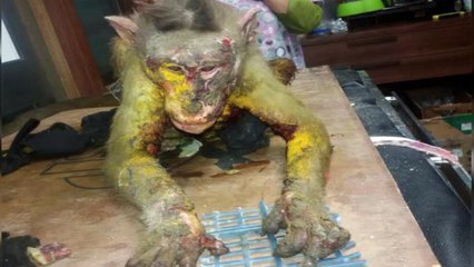 Scary Looking Monkey Dies In India After Being Attacked With Acid (Photos