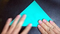 28.How to fold origami grasshoppers of the insect | Origami Box