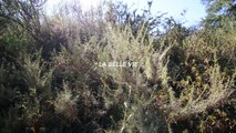 LA BELLE VIE grwm & ootd ft. Glossier