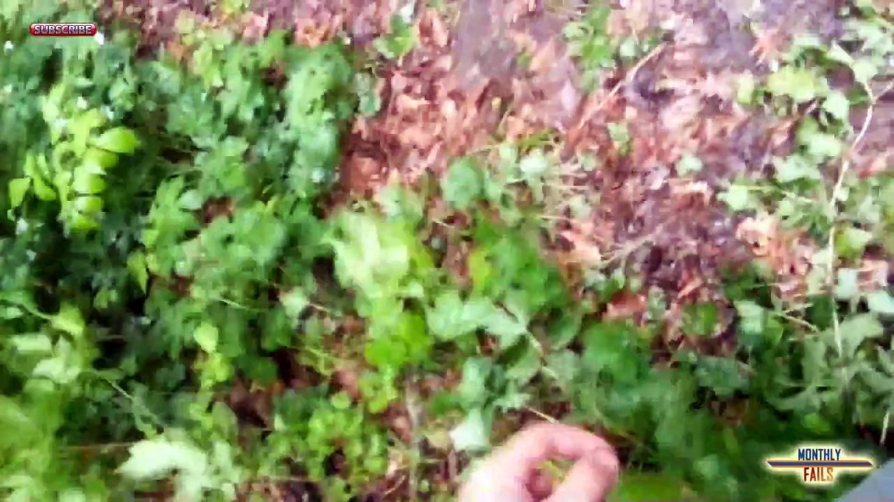 FAIL Compilation || JUNE 2013 || WEEK 1 || Monthly Fails