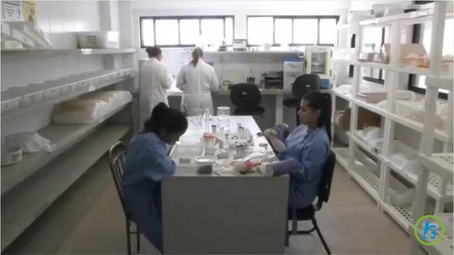 Zika Virus Researcher Accidentally Infected