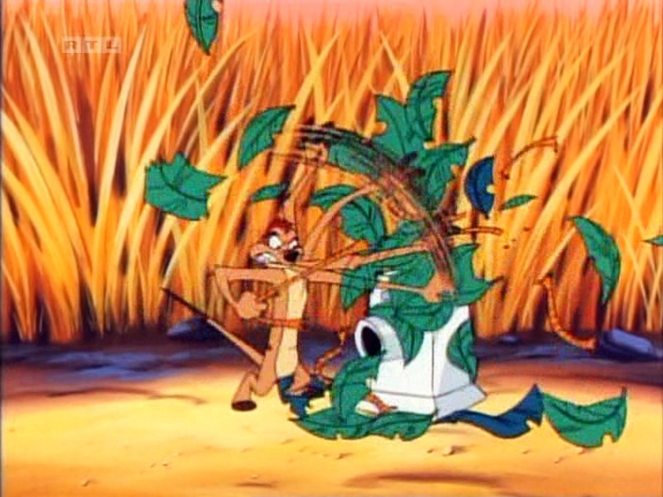 Timon i Pumba Najbolji prijatelji