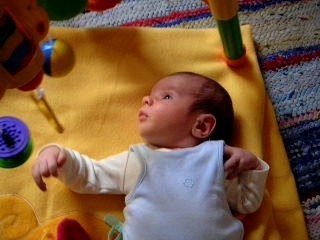 Romain  9 juillet 2007