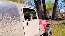 Rescued Dog Greets Owner With Weird Face