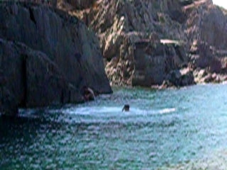 saut 9m