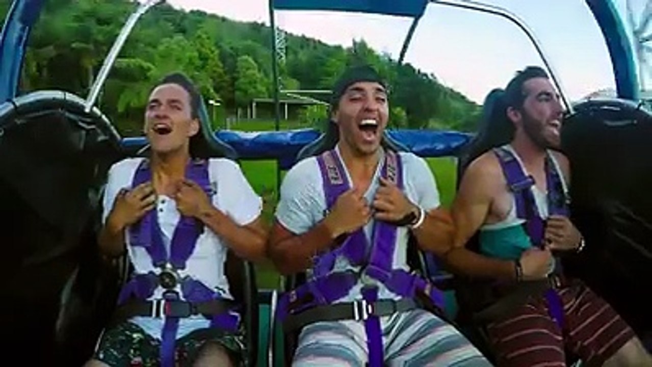 This is New Zealand!