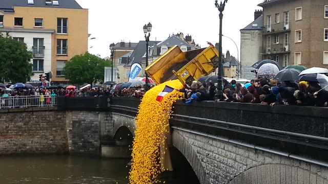 20.000 canards lâchés sur la Sarthe