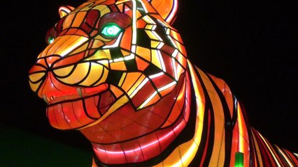 Vivid Sydney2016 Part4/6 HD  Be light  for the Wild, Taronga Zoo Part 1 of 2, 12 Jun 2016