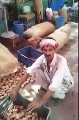 Funny Song Pakistani Baba - Pakistani Funny Videos