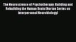 Download The Neuroscience of Psychotherapy: Building and Rebuilding the Human Brain (Norton