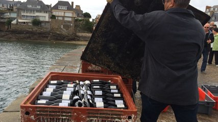 Après un an d'immersion, 600 bouteilles refont surface