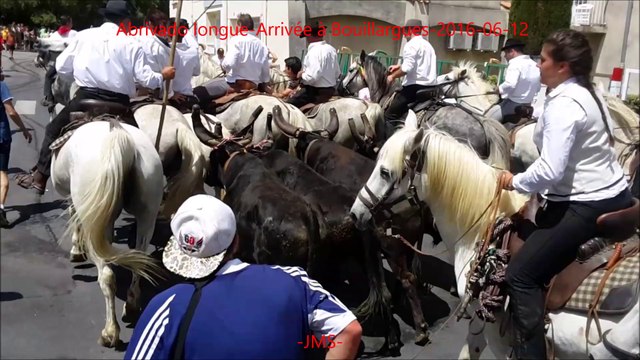 Abrivado longue-manade Chapelle-Arrivée à Bouillargues-2016/06/12