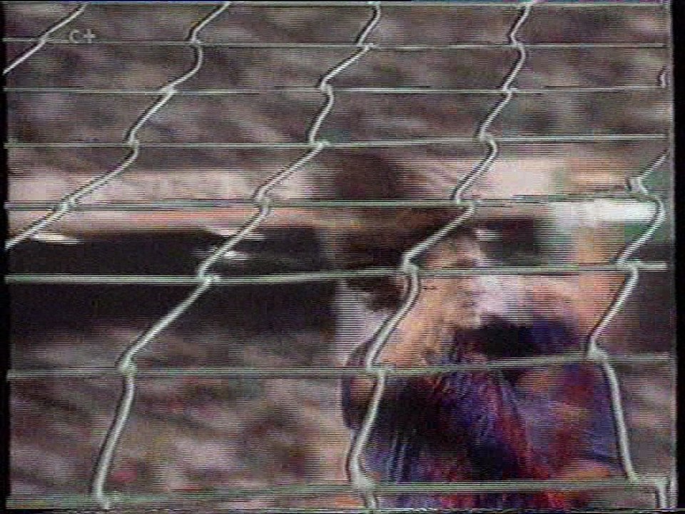 El Dia Despues Diciembre 1993