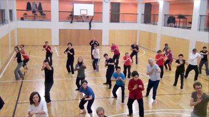 Qigong martial  Ecole Tigre volant. Tél: 01 45 77 30 78