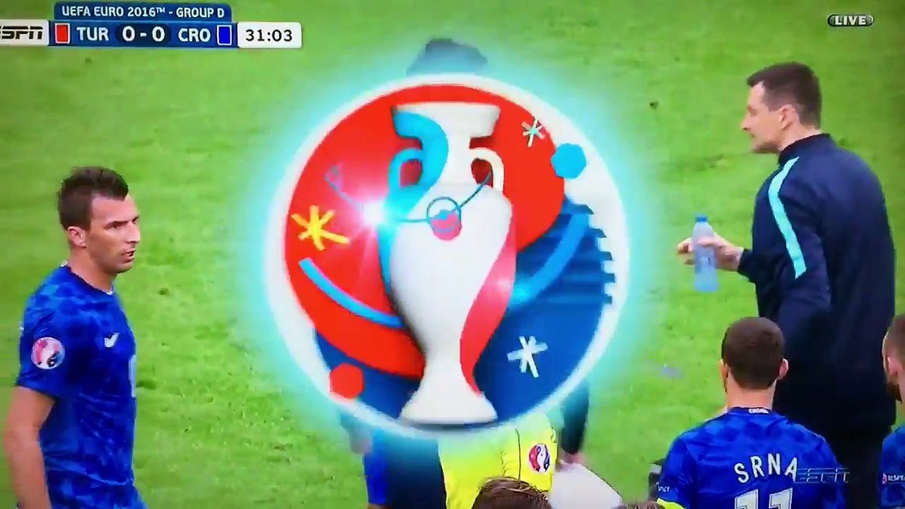 Corluka
