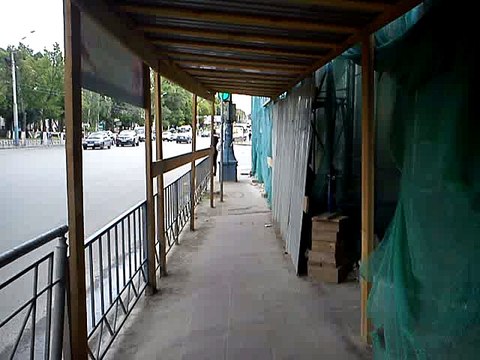 Я куда попал — Ворогриб