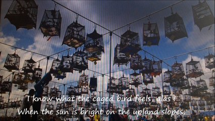 Sympathy (I know what the caged bird feels), Paul Laurence Dunbar -B93