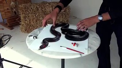 3D drawings illusions by Stefan Pabst