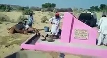 Sindh Ma Pani Ki Kitni Kami Must Watch