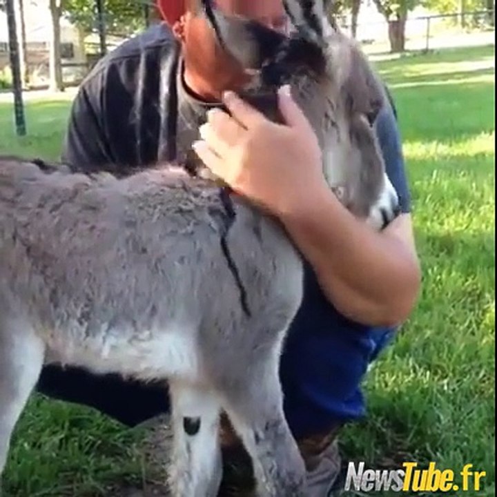 Et si on faisait un câlin au petit âne pendant ce temps là, hein ??!!
