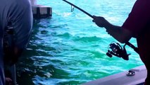 Fishing charters in Big Pine Key, Florida