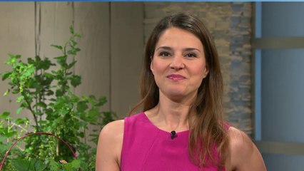 Fatma Mittler-Solak   27.05.2016  -1-