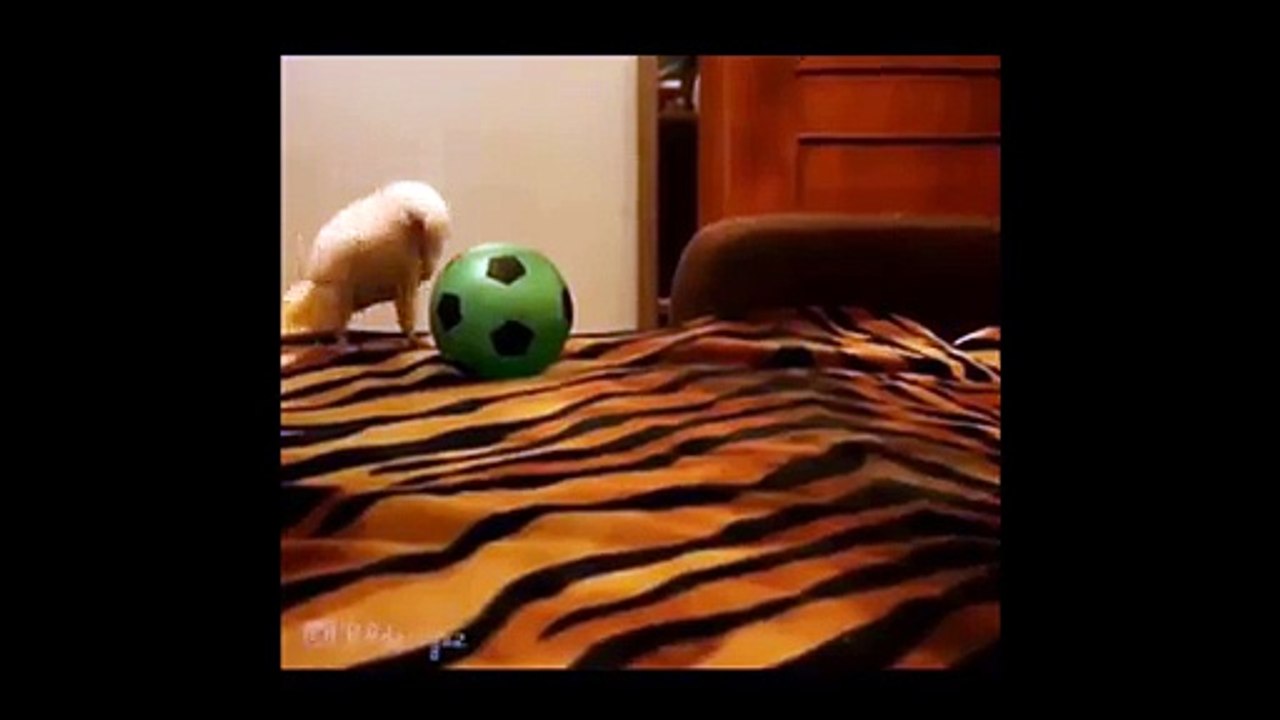 video_3