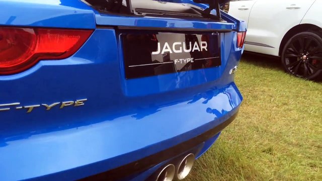 Reving Jaguar F-Type | Exhaust Sound