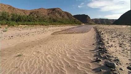 Yeryüzü Belgeseli Çöl Canlıları- Filler